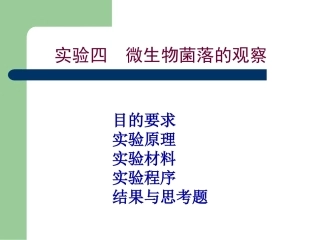 实验4 微生物菌落的观察