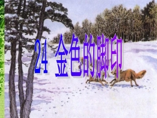 金色的脚印课件 