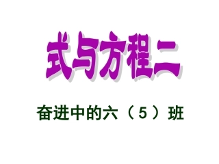 总复习《式与方程2》