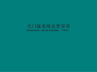 犬门脉系统血管异常资料