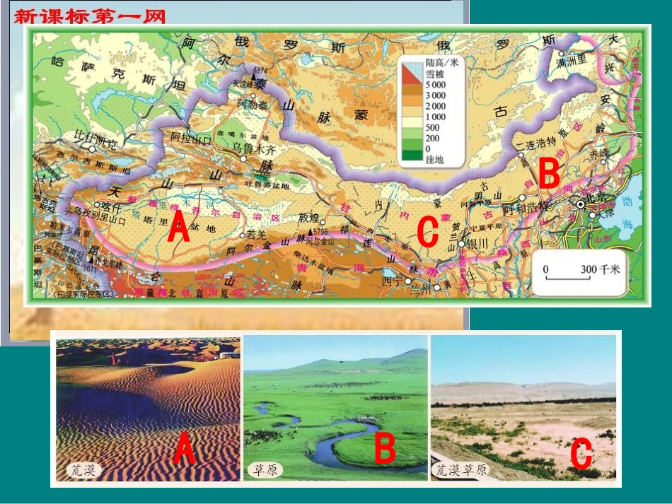 地理：第四章第三节西北地区和青藏地区课件（湘教八上）_第3页