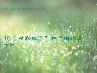 《精彩极了和糟糕透了》课件