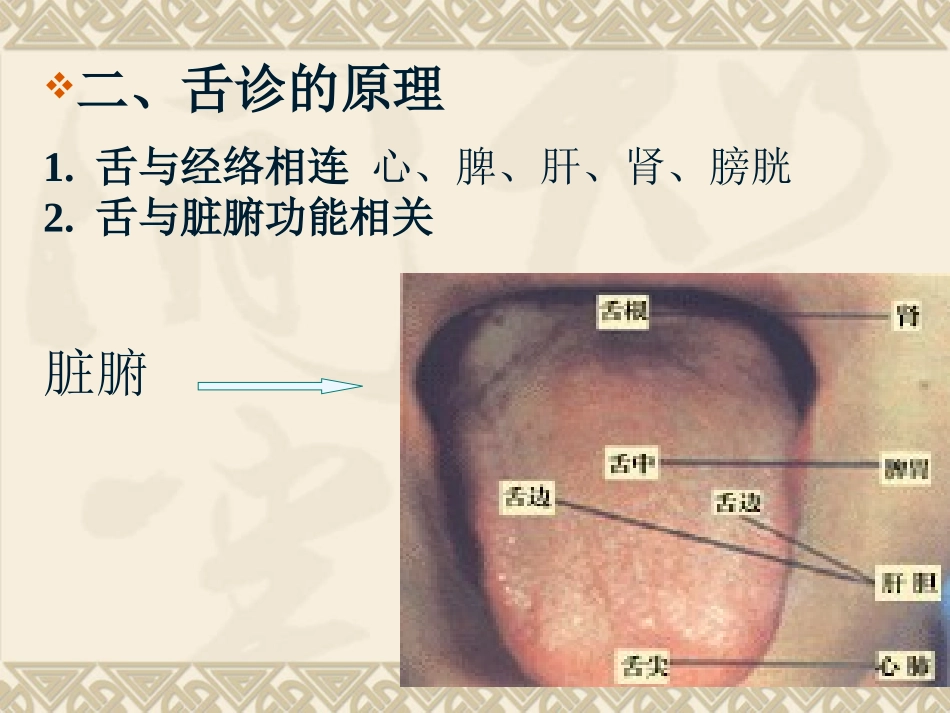 舌诊-切诊-闻诊_第3页
