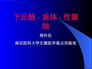 垂体-性腺轴