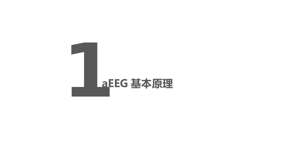 振幅整合脑电图_第2页