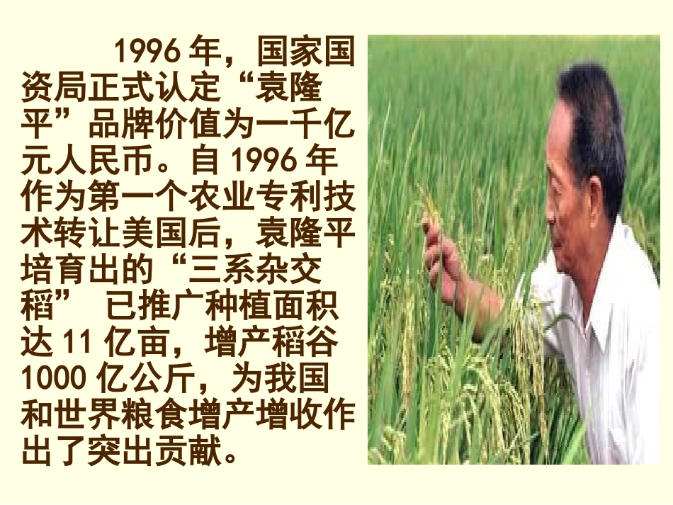 无形的财产公开课课件_第3页