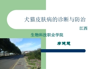 犬猫真菌性感染-