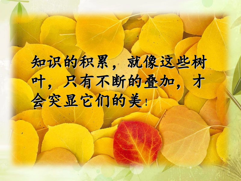 《折扣》课件_第1页