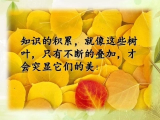 《折扣》课件