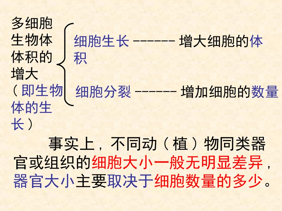 【生物】61细胞的增殖课件1（人教版必修1）_第3页