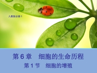 【生物】61细胞的增殖课件1（人教版必修1）