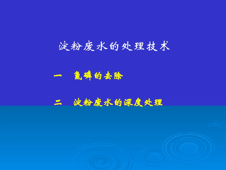 淀粉废水处理技术_第1页