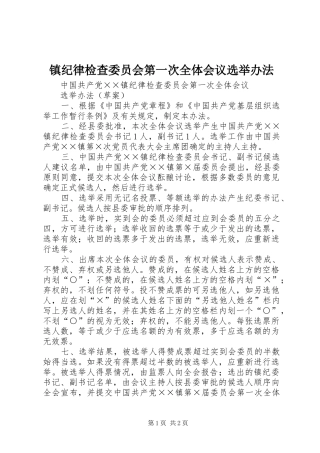 镇纪律检查委员会第一次全体会议选举办法