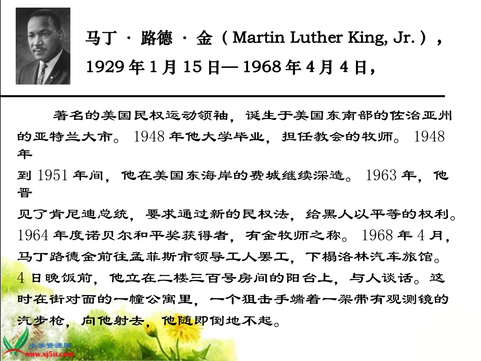 北师大版六年级语文上册《黑孩子罗伯特》PPT课件1_第3页