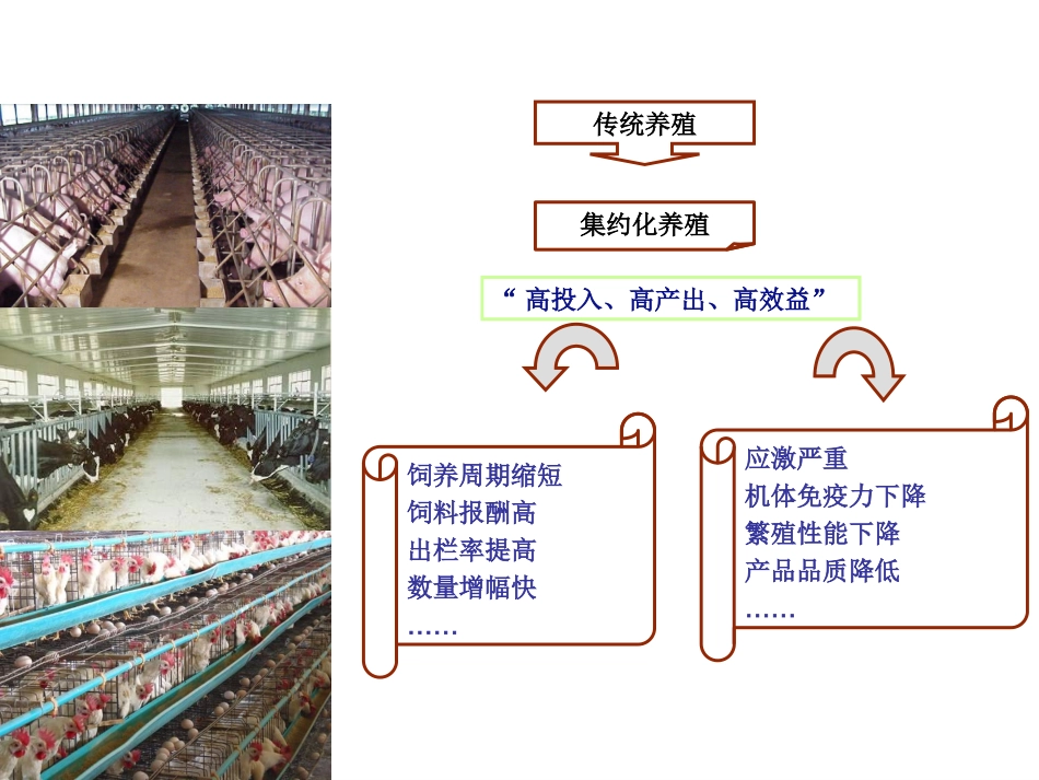 猪群健康与营养_第3页