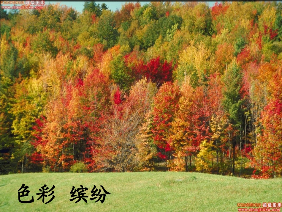 夜书所见课件_第3页