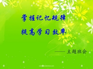 掌握记忆规律提高学习效率主题班会课件
