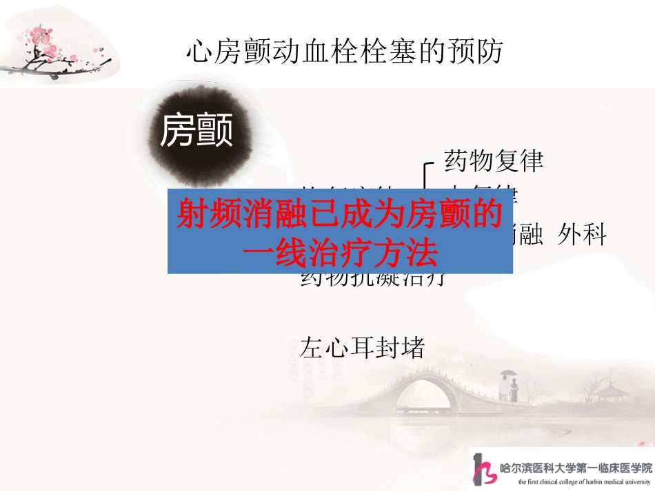 房颤射频消融术后窦性心律者无需长期抗凝-哈医大一院-梁兆光_第3页