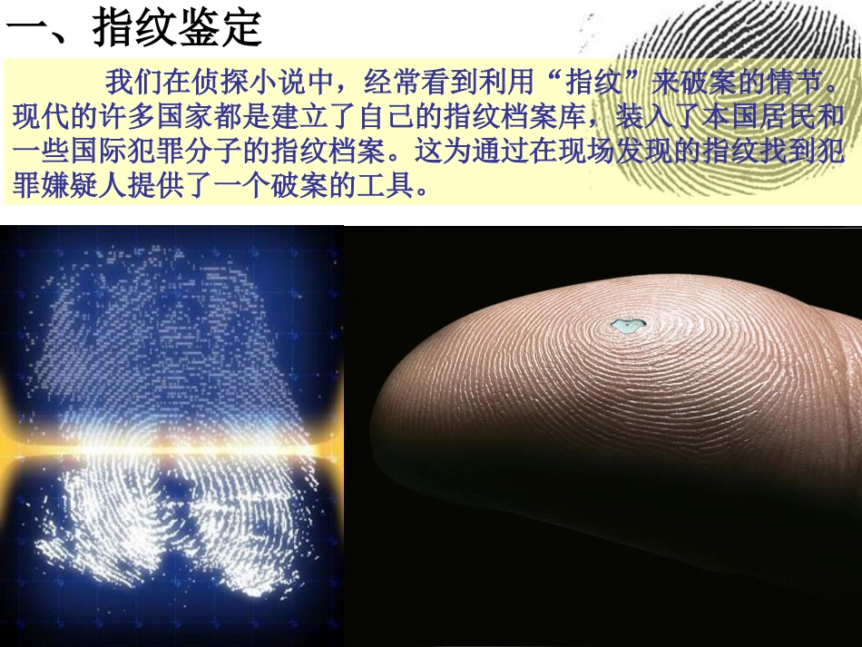 实验四指纹鉴定和加碘食盐中碘元素的检验课件_第3页