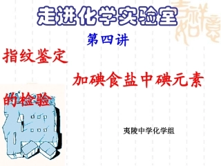 实验四指纹鉴定和加碘食盐中碘元素的检验课件