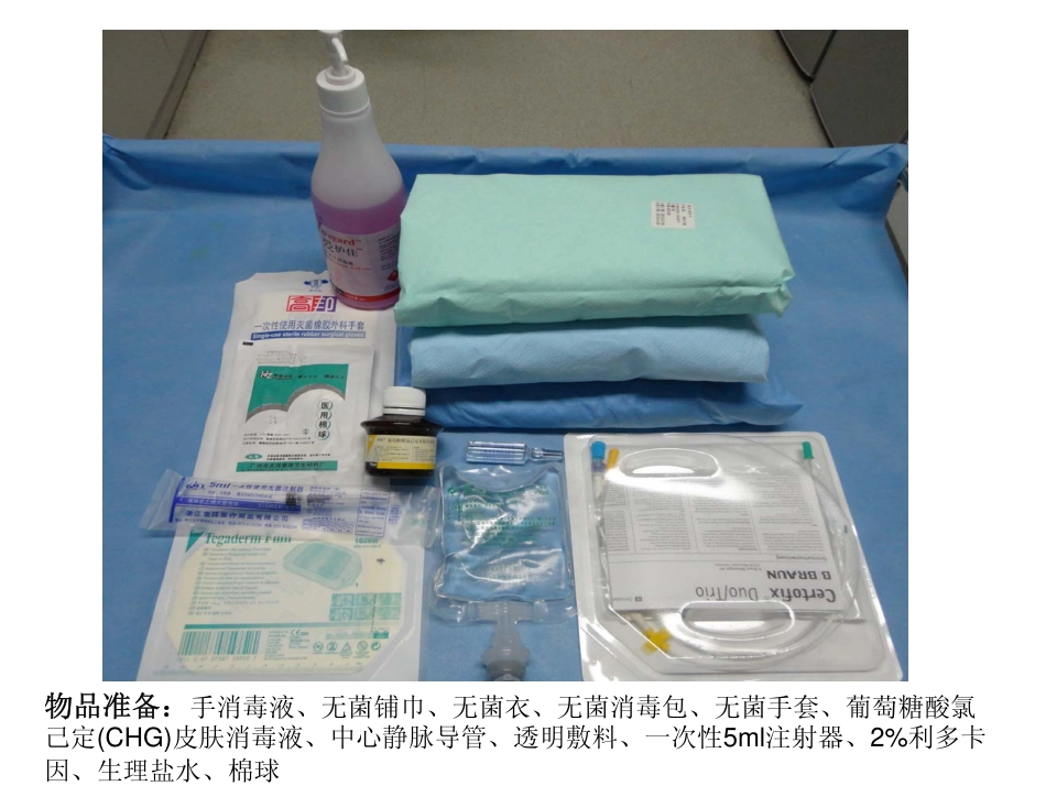 中心静脉导管操作流程图片0228_第2页