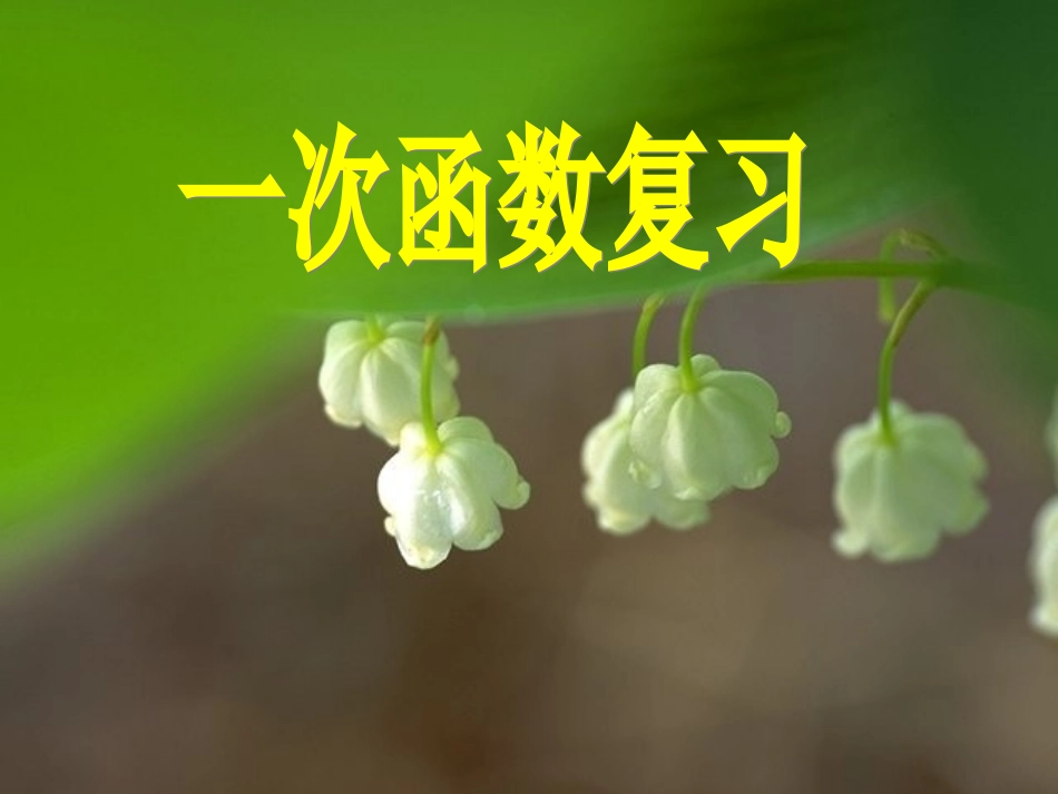 一次函数复习1_第1页