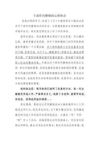 干部作风整顿的心得体会