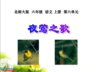 《夜莺之歌》课件