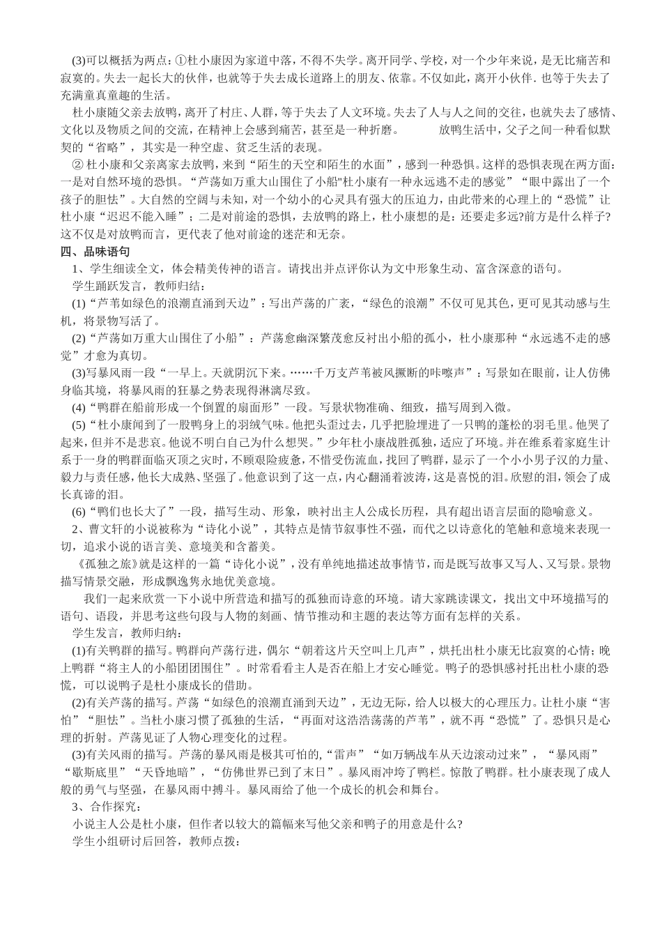 孤独之旅教案_第3页