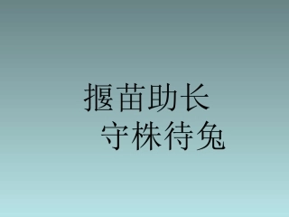 揠苗助长守株待兔