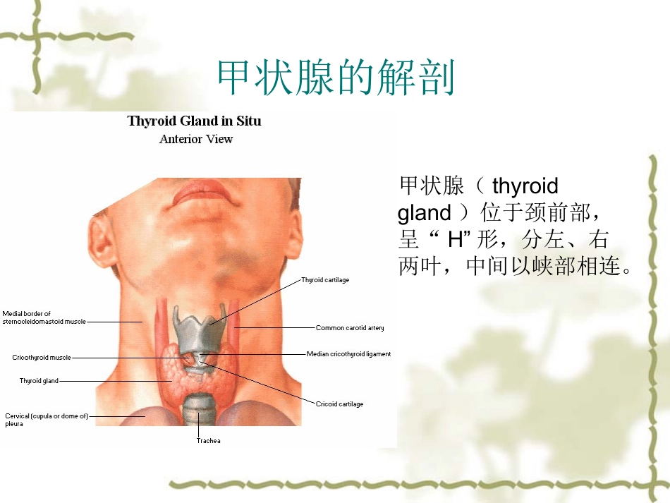 甲状腺病变的影像学表现_第2页
