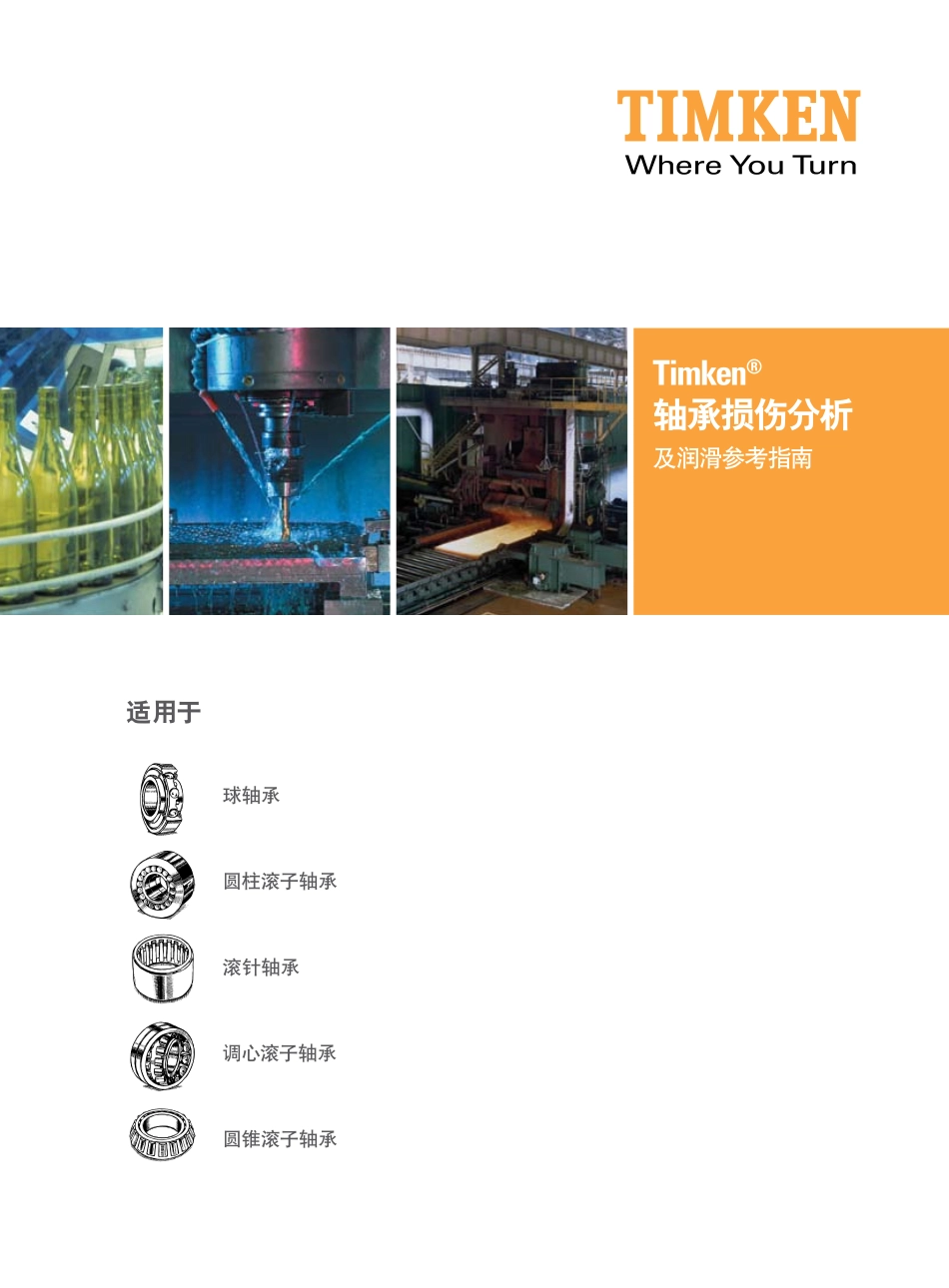 轴承损伤分析_第1页