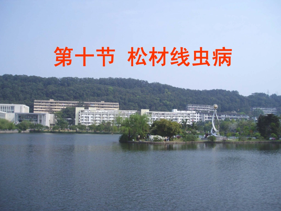 第十节松材线虫_第1页