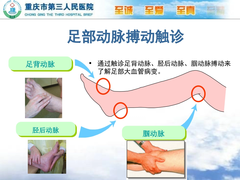 ABI和VPT_第3页