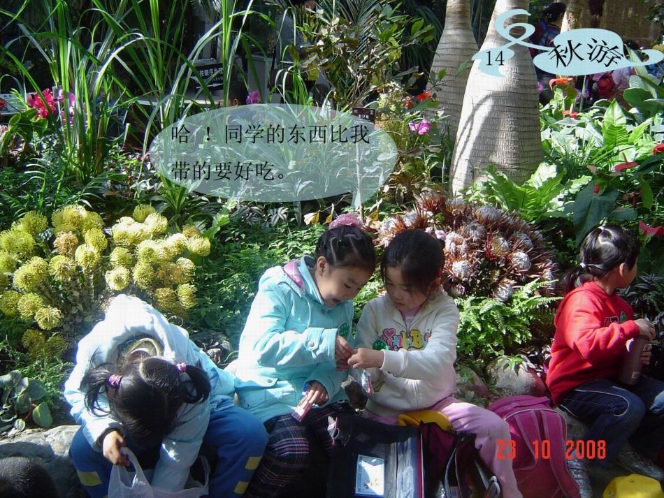 二年级第一单元口语交际_第3页