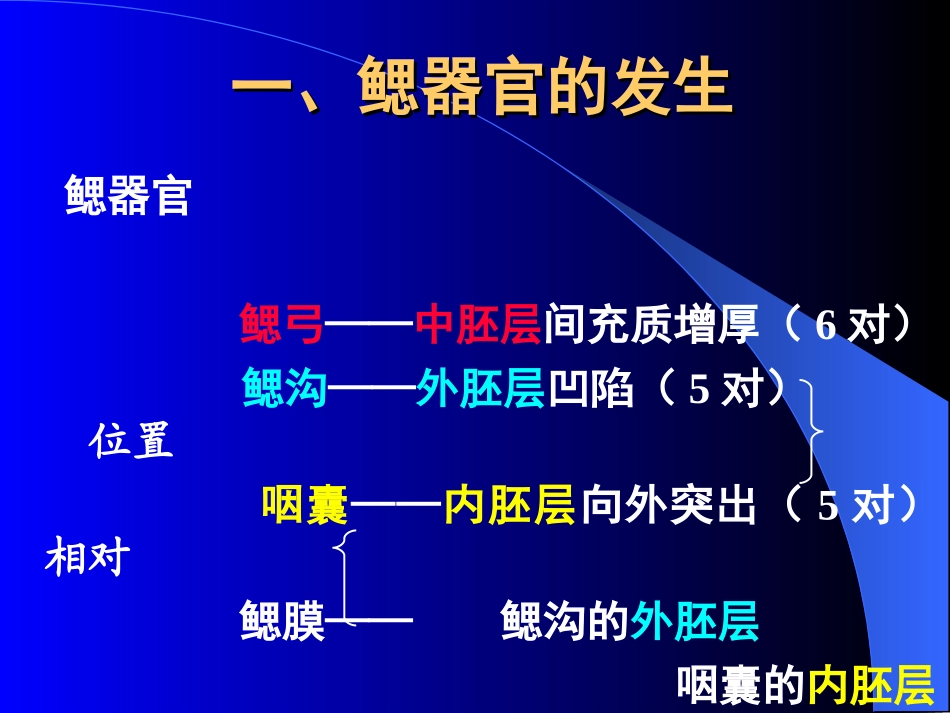 颜、消、泌生的发生_第2页
