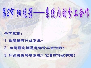 细胞器系统内的分工合作10