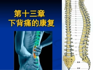 下背痛的康复