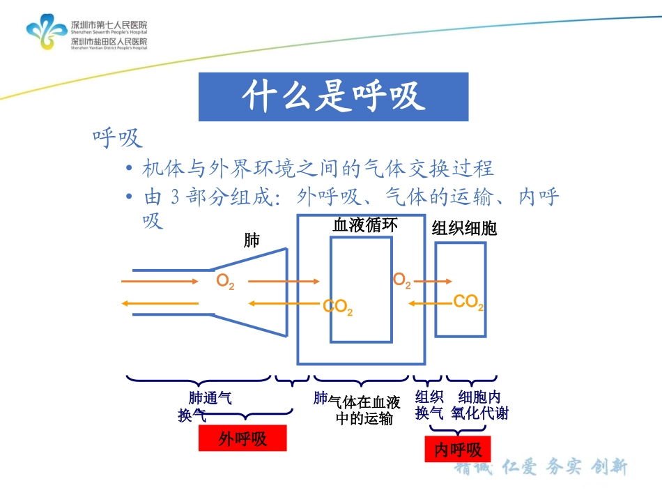 呼吸机相关基础及Savina300参数设置(10.11)_第3页