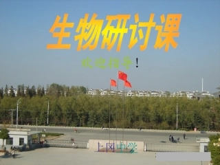 动物体细胞核移植概念