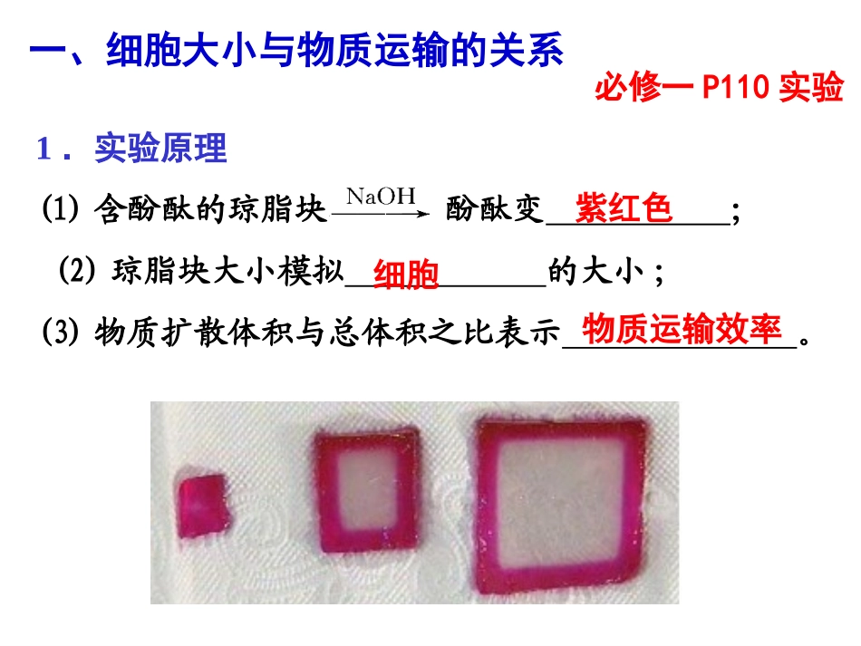 细胞增殖(复习)_第3页