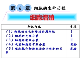 细胞增殖(复习)
