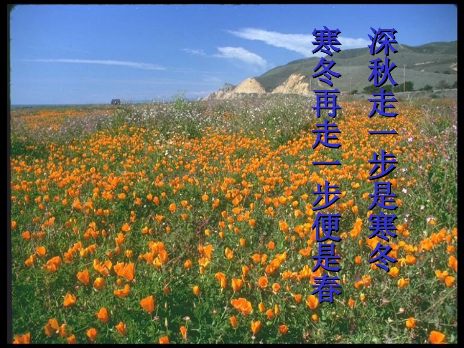 走一步_再走一步_第3页