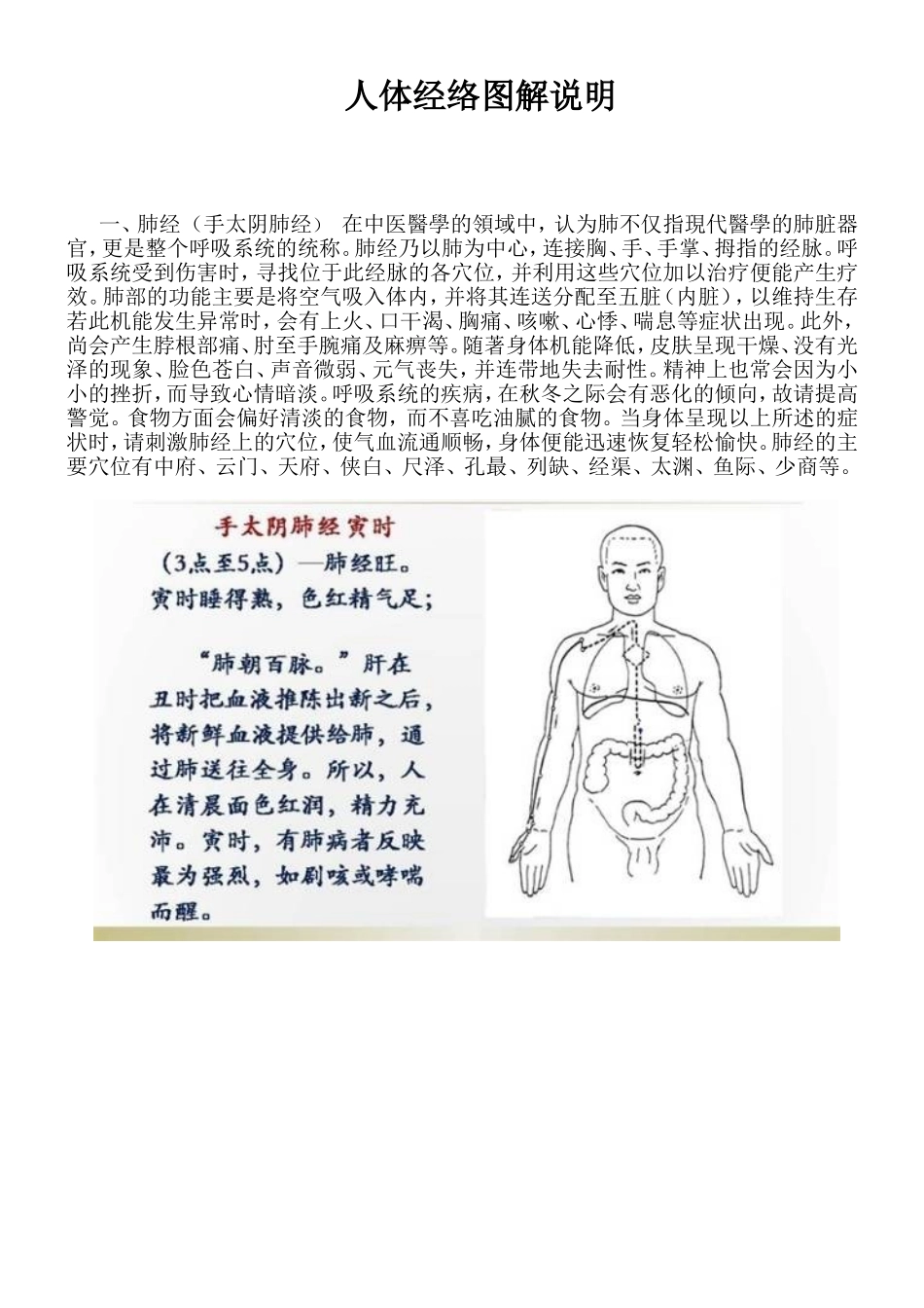 人体经络图解说明_第1页