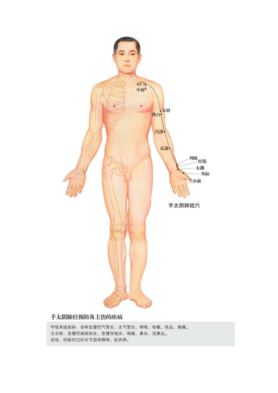 人体经络图解说明_第3页