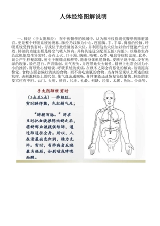 人体经络图解说明
