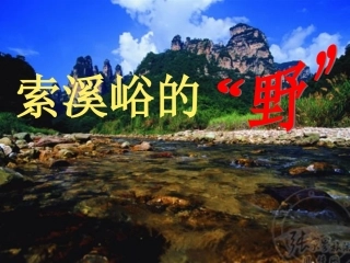 索溪峪的野(2)