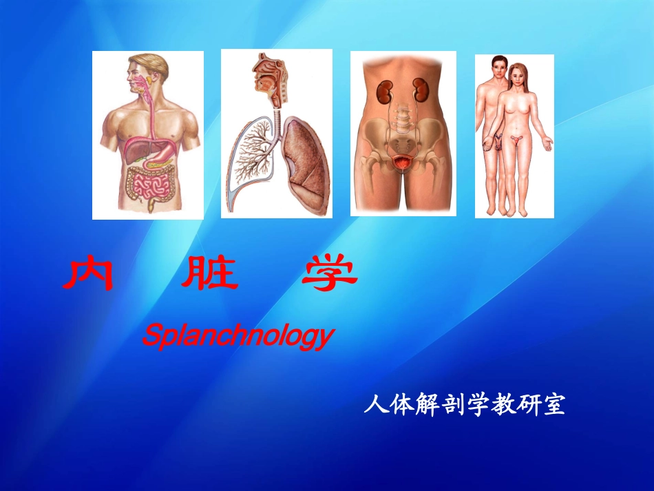 内脏学总论+消化系统huang_第1页