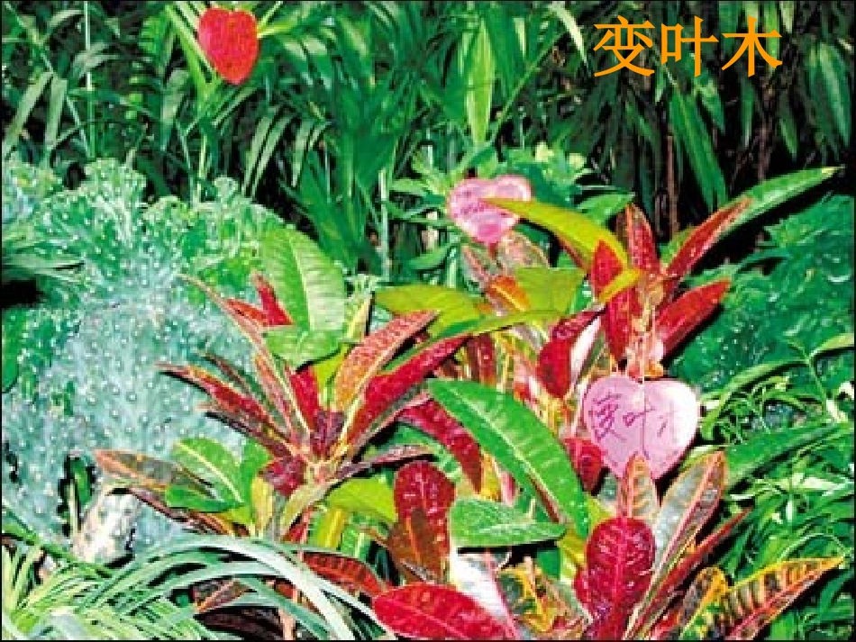 防癌抗癌专题_第3页