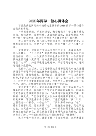 20XX年两学一做心得体会 (16)